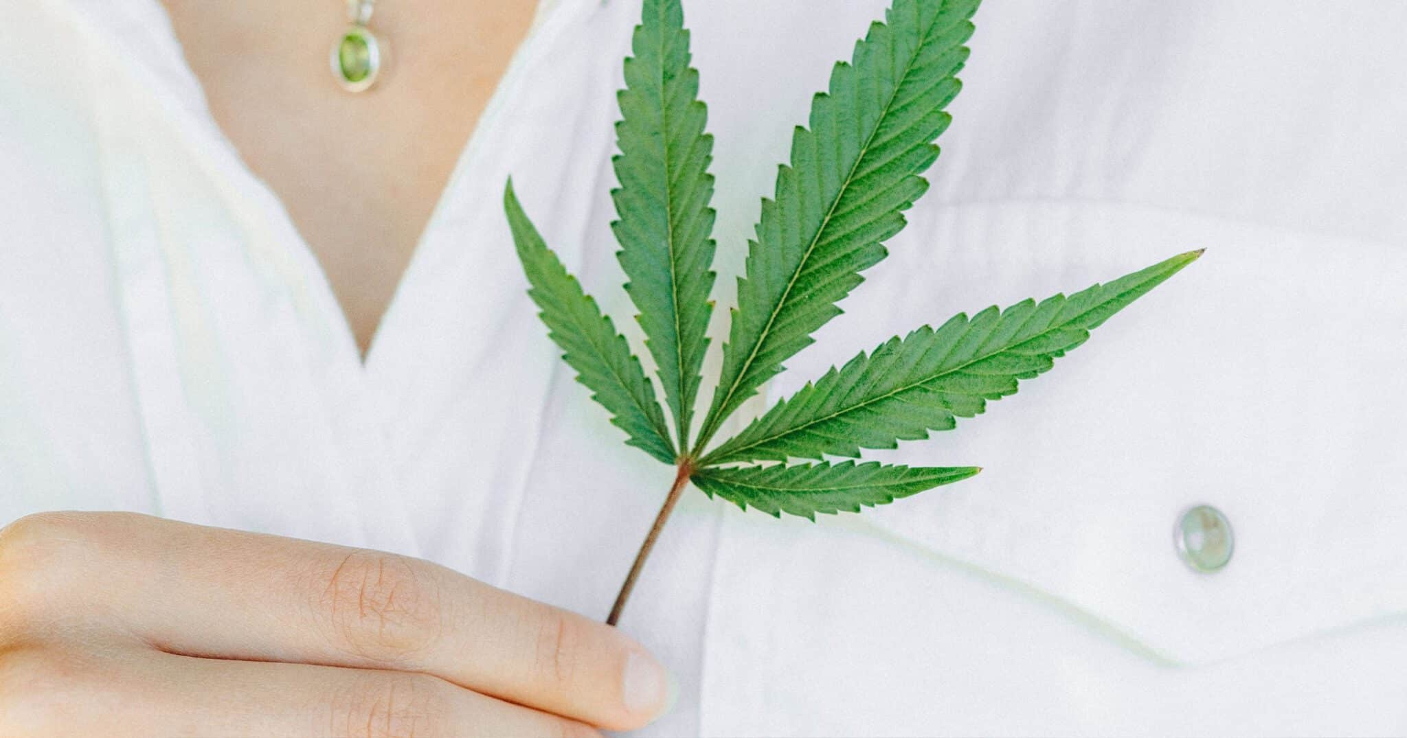 Cannabis Therapie | Algea Care